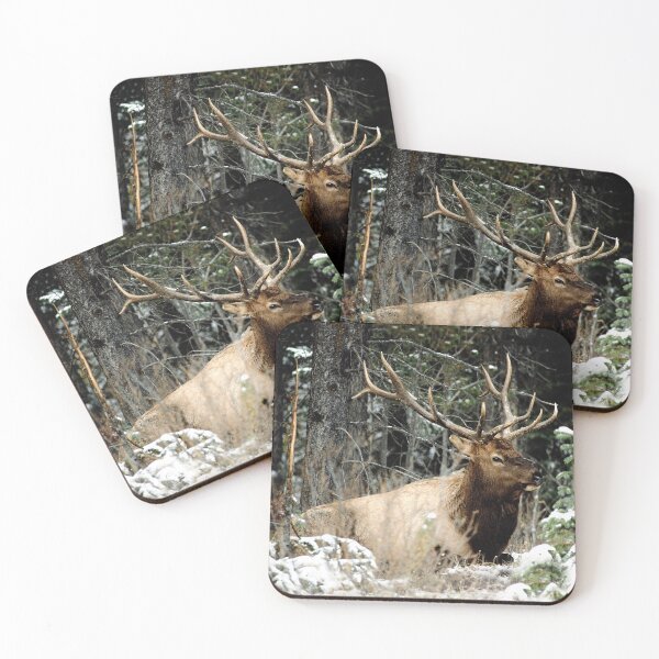 Item preview, Bull Elk designed and sold by Alison Meyer Photography.