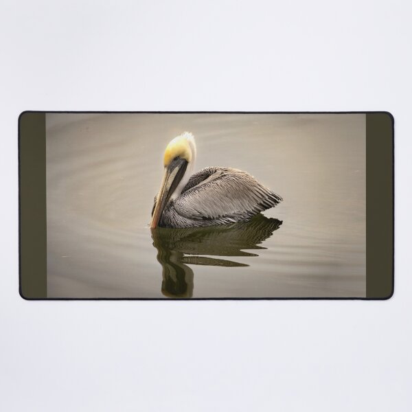 Item preview, The Regal Brown Pelican Swimming Reflections designed and sold by nbrandsberg.