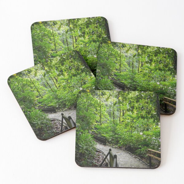 Item preview, Tropical Forest in Guadeloupe, France #2 designed and sold by Ocera-Photo.