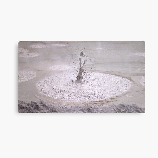 Mud with attitude Metal Print