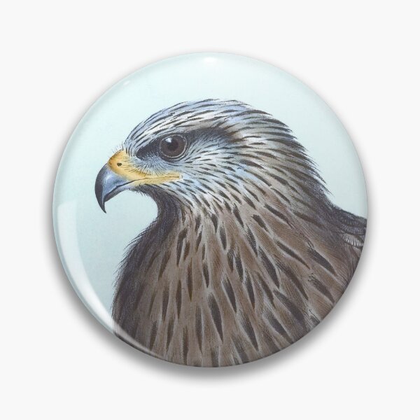 Item preview, Black Kite, 1800s Vintage Bird Art by Joseph Wolf and H.C. Richter designed and sold by VintageRestored.