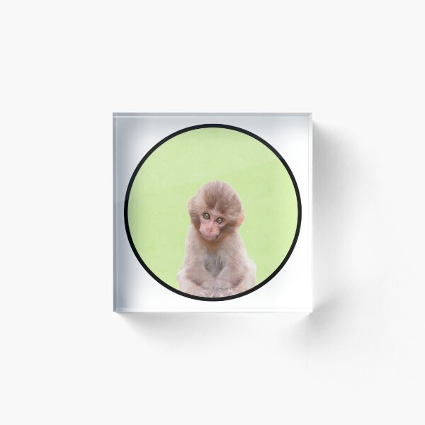 Peek-a-boo Animals - Monkey Acrylic Block