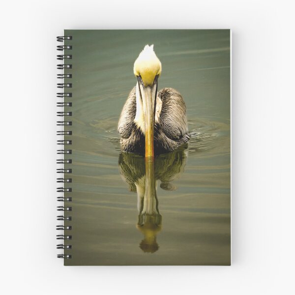 Item preview, Brown Pelican Mirrored Reflection Front View designed and sold by nbrandsberg.