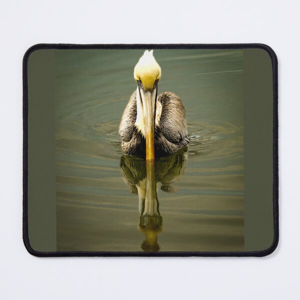Item preview, Brown Pelican Mirrored Reflection Front View designed and sold by nbrandsberg.