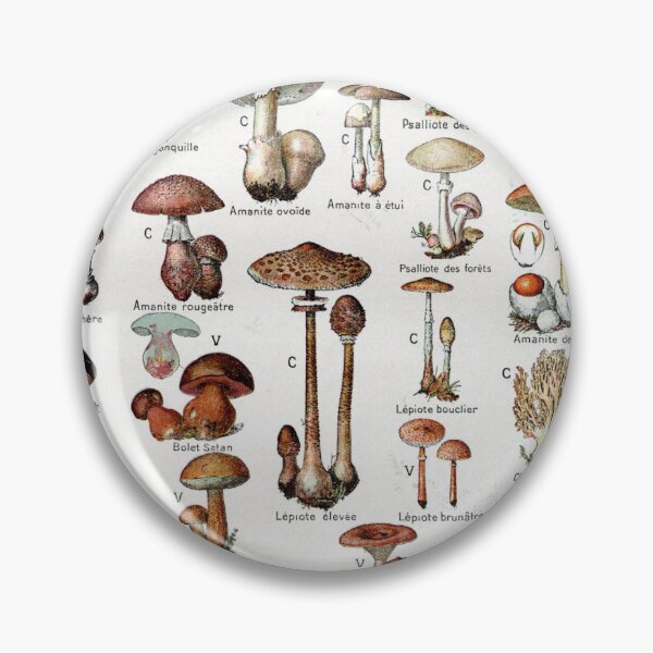 Item preview, Vintage Mushroom Poster  designed and sold by MaverickAtlas.