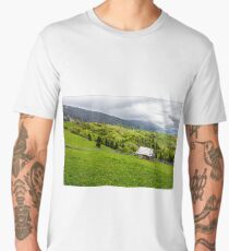 storage of firewood on hillside meadow in mountain Men's Premium T-Shirt