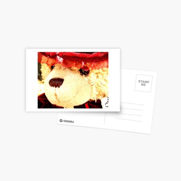 Mrs. Bear Postcard