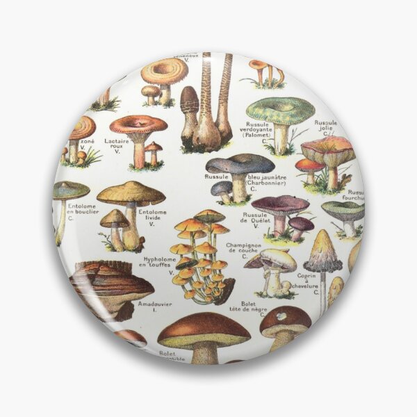 Item preview, Mushroom Poster designed and sold by MaverickAtlas.