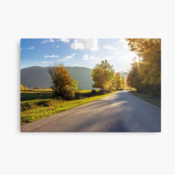 road going to mountains Metal Print