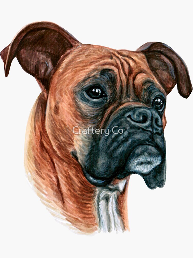 "Boxer Dog Sticker" Sticker for Sale by sanahuynh Redbubble