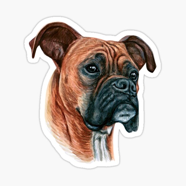 “Boxer - Dog Sticker” Sticker for Sale by sanahuynh | Redbubble