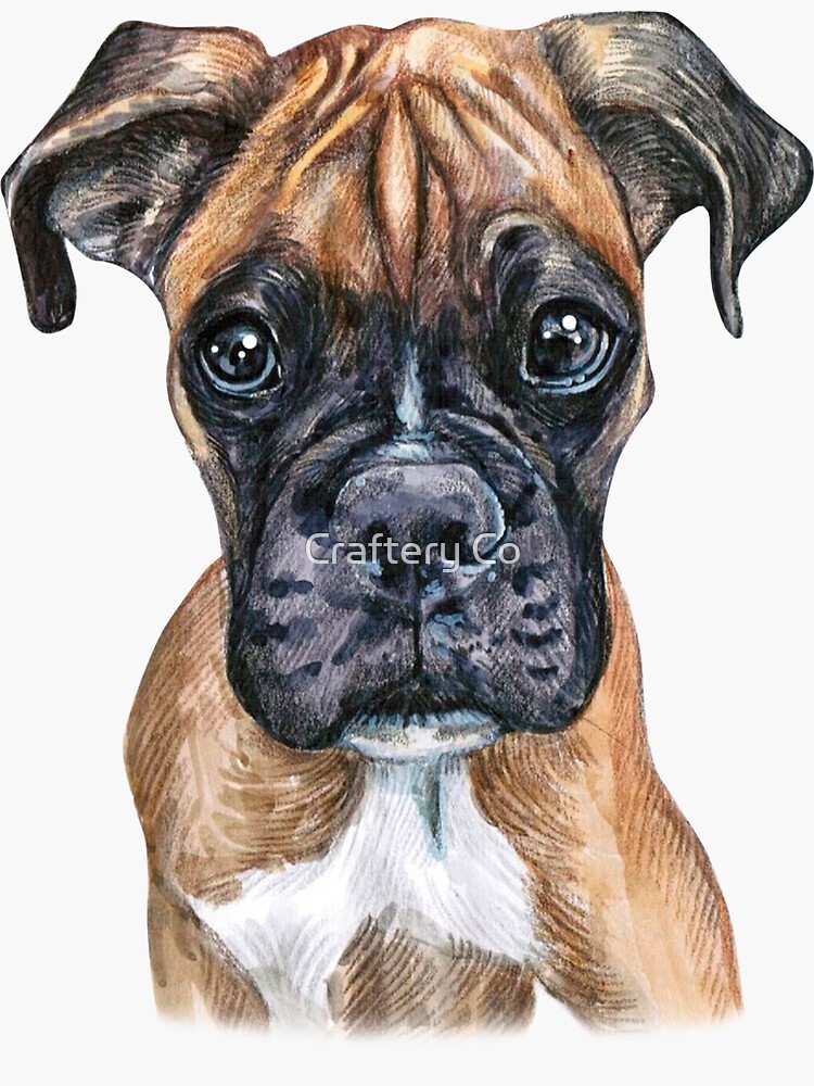 "Boxer Dog Sticker" Sticker for Sale by sanahuynh Redbubble
