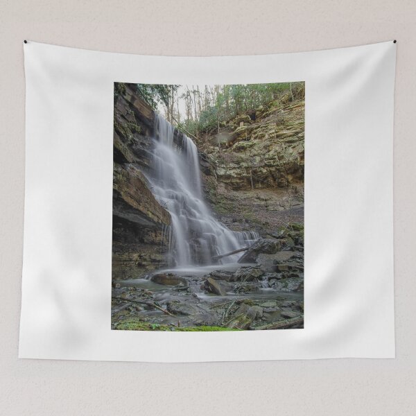 Item preview, Side Of The Oaks  designed and sold by Paul Lubaczewski.