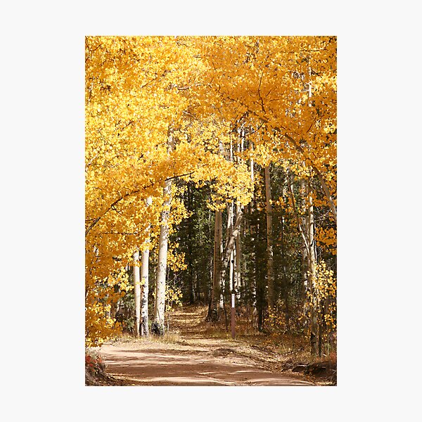 Item preview, Golden Arches designed and sold by Kasey Cline.