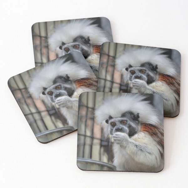 Item preview, Cotton-top Tamarin  designed and sold by Savannah Gibbs.