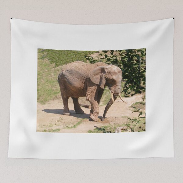 Item preview, Elephant In Paignton Zoo, UK designed and sold by lezvee.