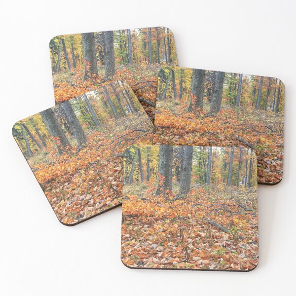 Item preview, Autumn in the forest designed and sold by zumi.