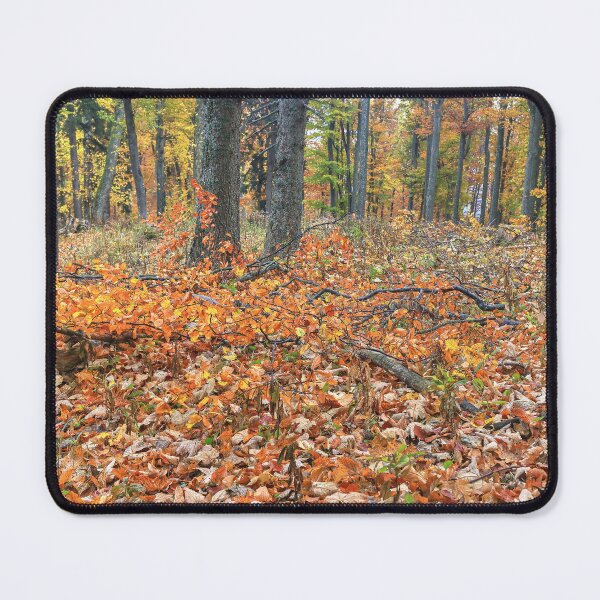 Item preview, Autumn in the forest designed and sold by zumi.