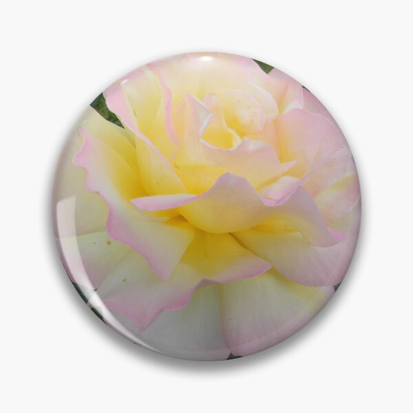 Item preview, Pink Edged Rose designed and sold by Kathleen Brant.