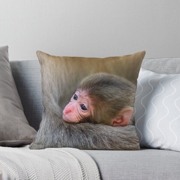 Item preview, Infant Macaque at Snow Monkey Park. Japan designed and sold by Petr Svarc.