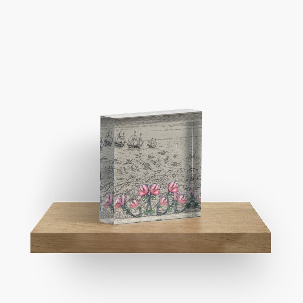 Woman Watching Sea Creatures Acrylic Block