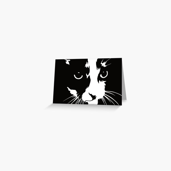 Dusty or Cat Noir Greeting Card