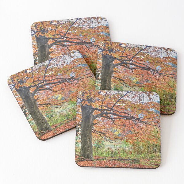 Item preview, Autumn in the forest II designed and sold by zumi.
