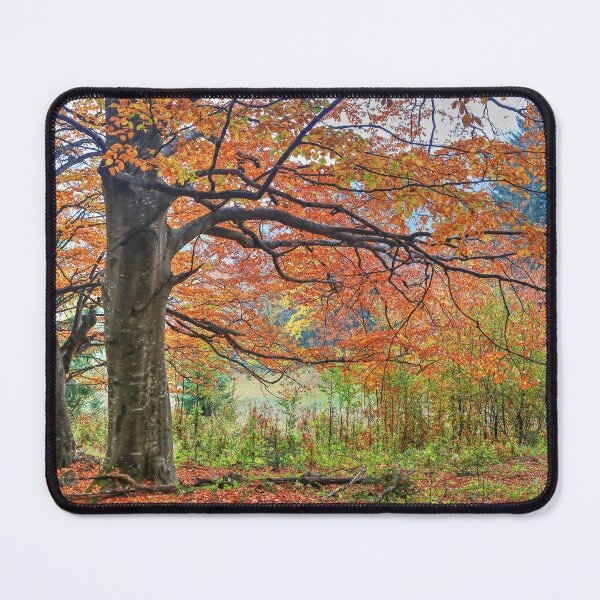 Item preview, Autumn in the forest II designed and sold by zumi.