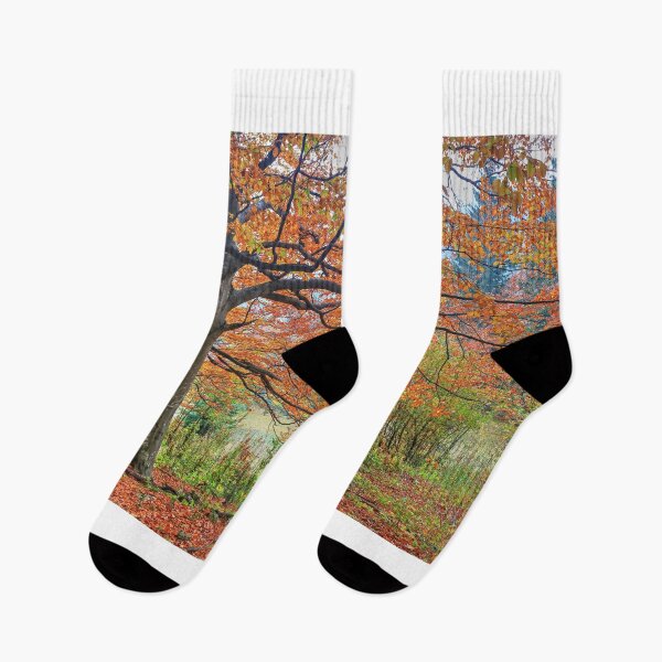 Item preview, Autumn in the forest II designed and sold by zumi.