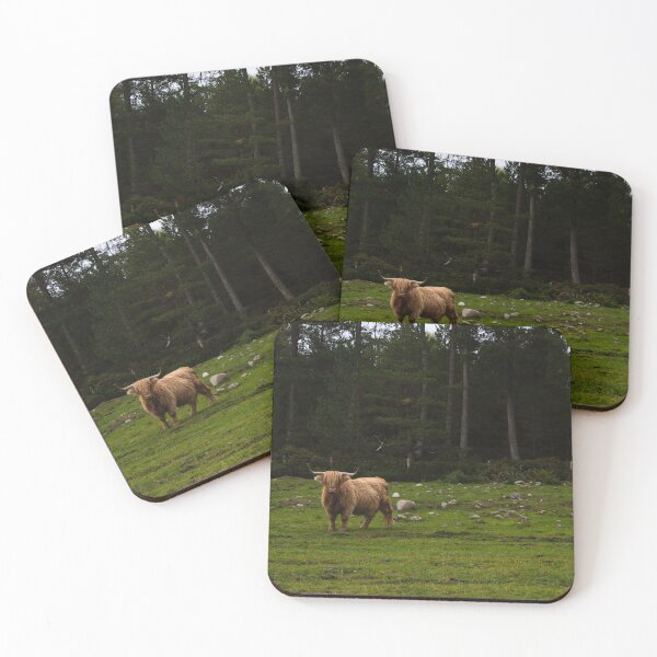 Item preview, Highland Cattle Farm designed and sold by anniebethphoto.