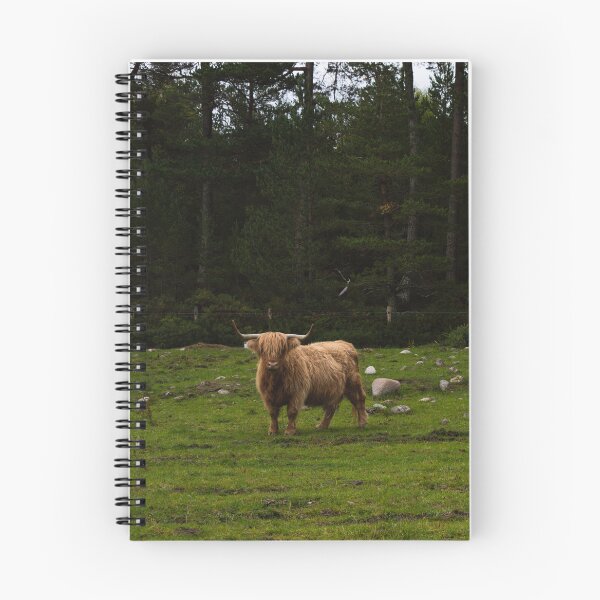 Item preview, Highland Cattle Farm designed and sold by anniebethphoto.