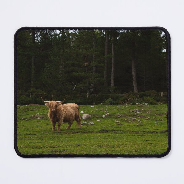 Item preview, Highland Cattle Farm designed and sold by anniebethphoto.