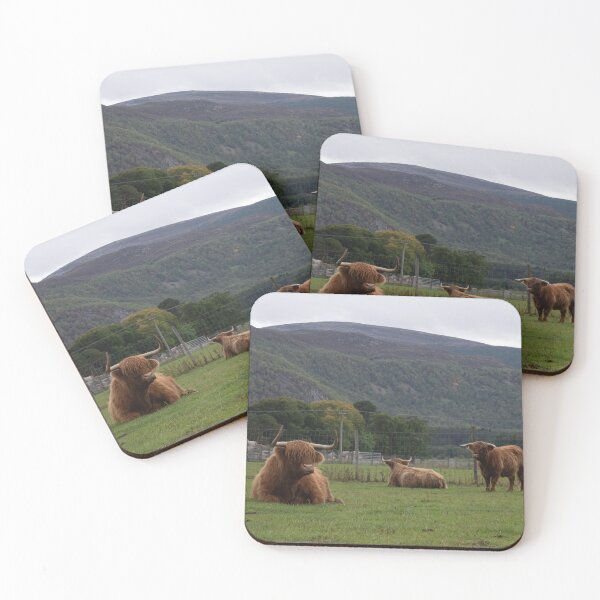 Item preview, Hairy Coo Highland Cattle designed and sold by anniebethphoto.