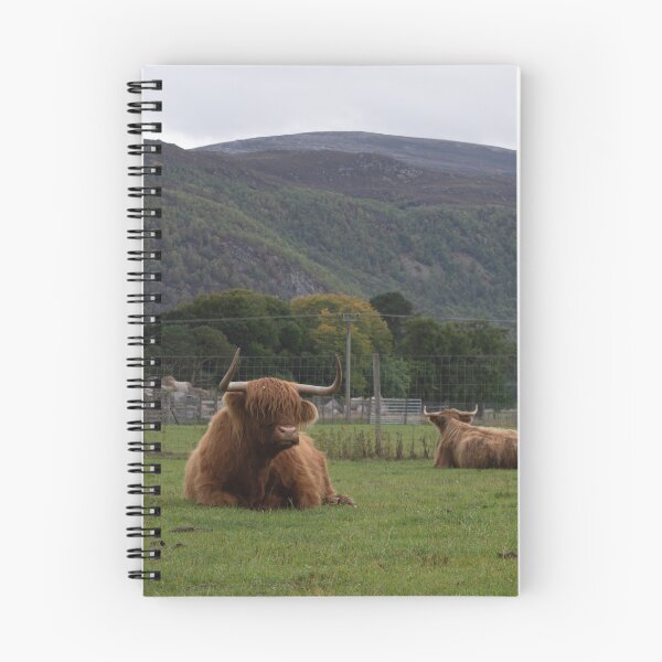 Item preview, Hairy Coo Highland Cattle designed and sold by anniebethphoto.