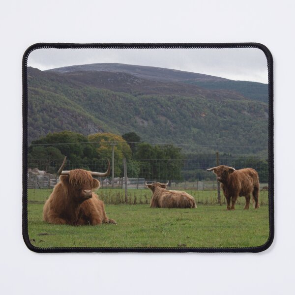 Item preview, Hairy Coo Highland Cattle designed and sold by anniebethphoto.