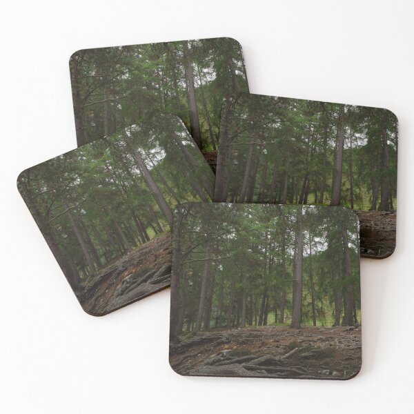 Item preview, Enchanted Scottish Pine Forest designed and sold by anniebethphoto.