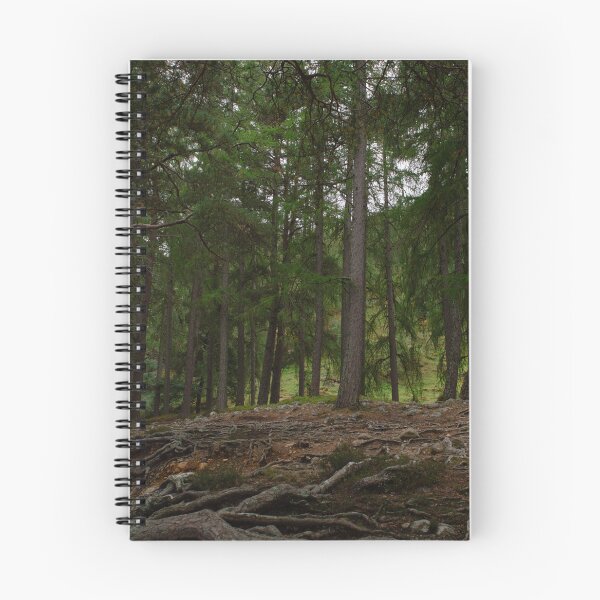 Item preview, Enchanted Scottish Pine Forest designed and sold by anniebethphoto.