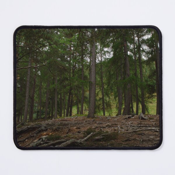 Item preview, Enchanted Scottish Pine Forest designed and sold by anniebethphoto.