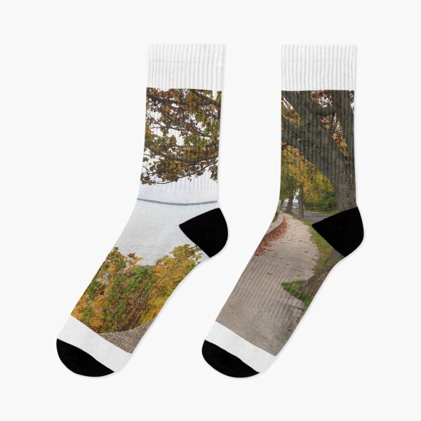 Item preview, Autumnal Balaton lake designed and sold by zumi.