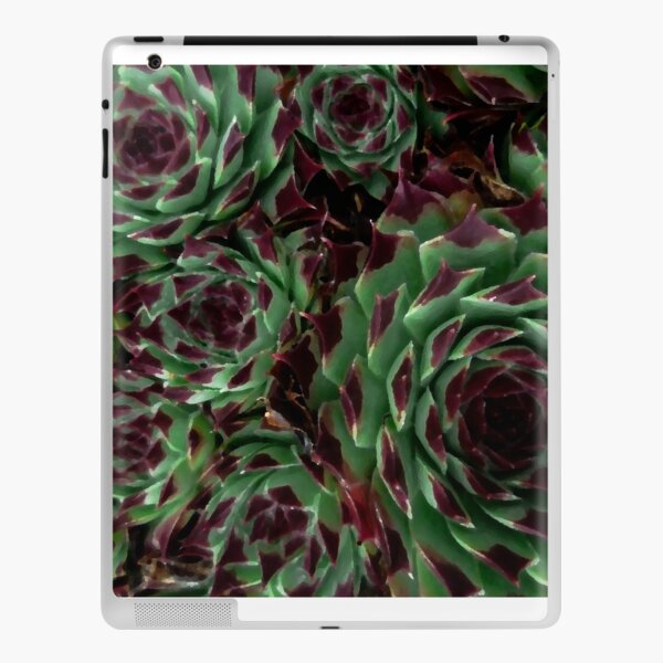 Sempervivum iPad Skin