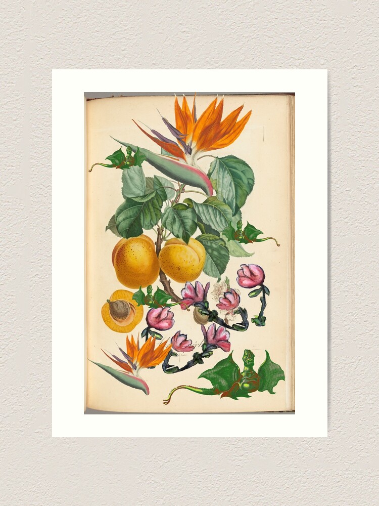 Alternate view of Apricot And Flowers With Dragons Art Print