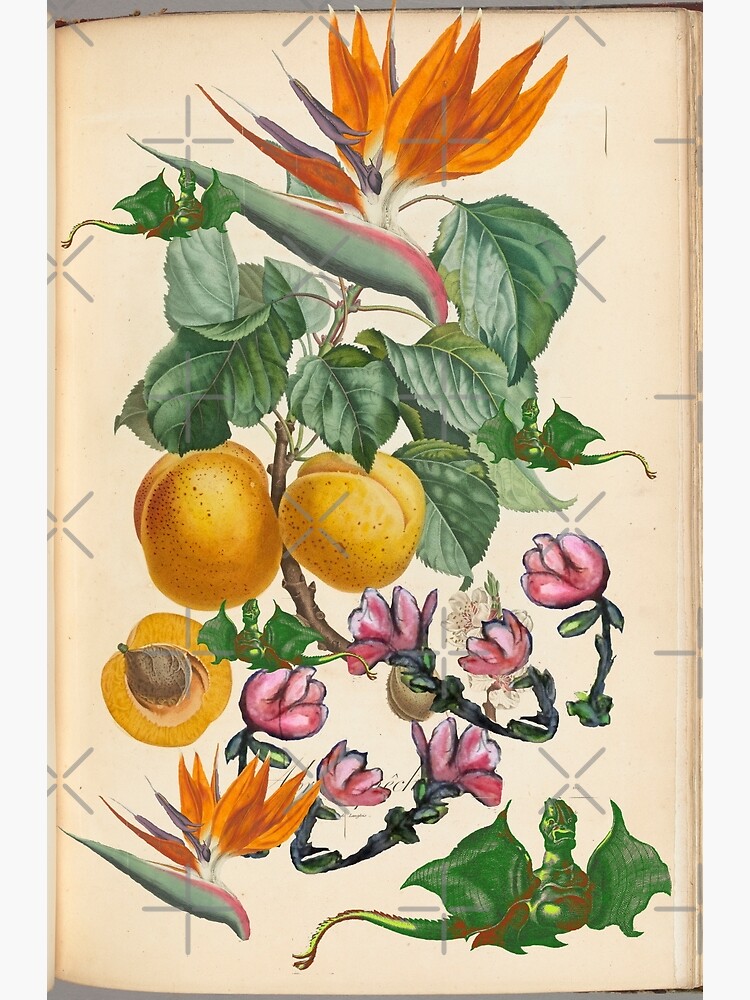 Apricot And Flowers With Dragons by cjkell