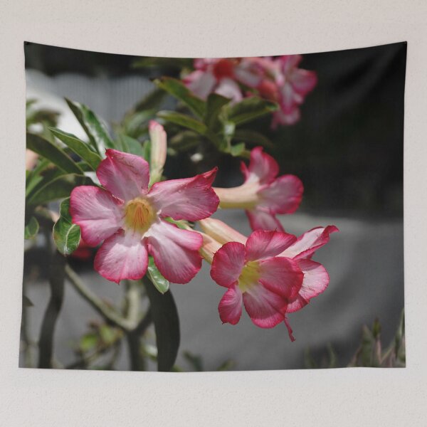 Item preview, Show Flower 1 designed and sold by pracha.
