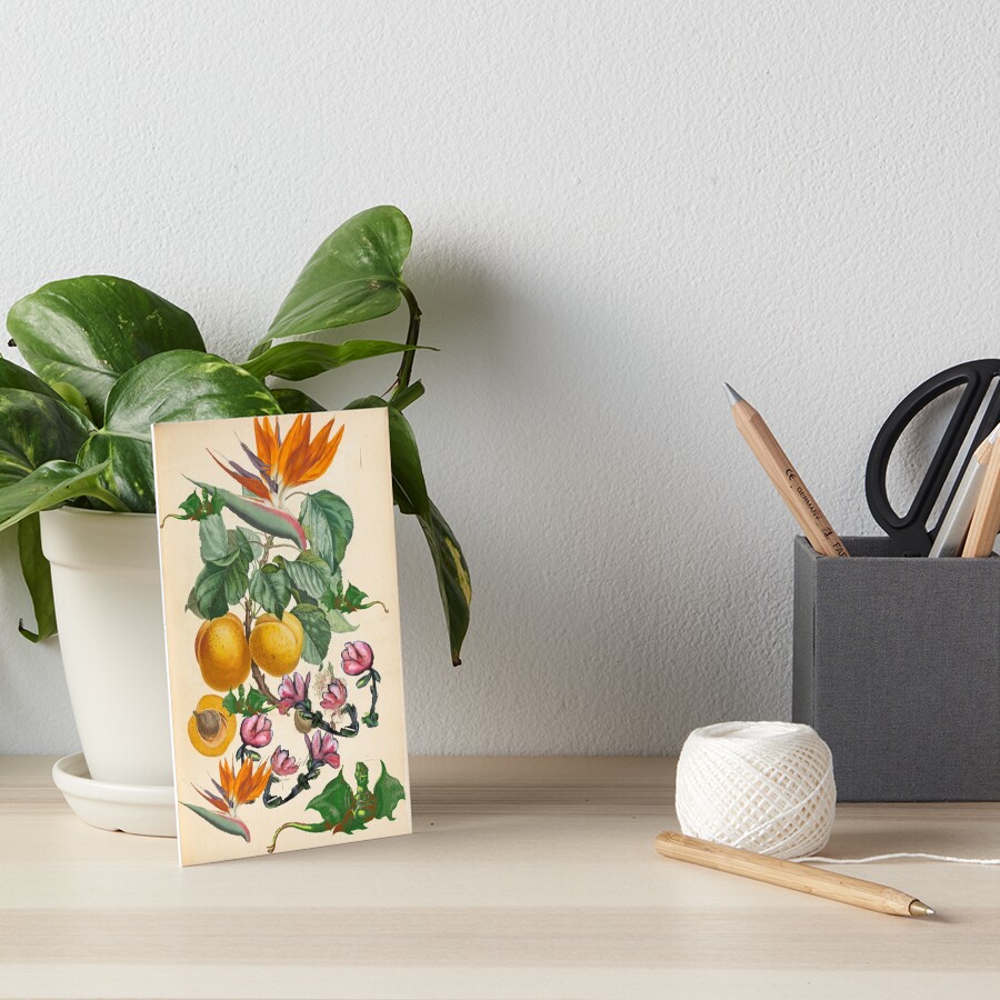 Apricot And Flowers With Dragons Art Board Print
