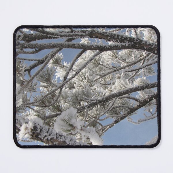 Item preview, Winter Branch designed and sold by Taiga Gigliotti.