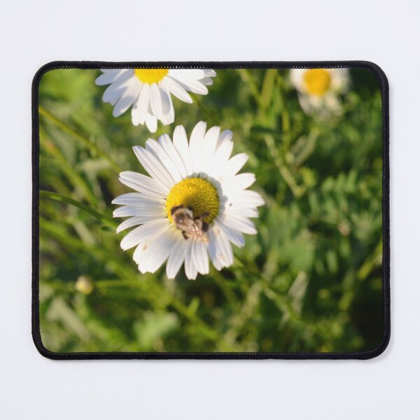Artikelvorschau, Bumble Bee entworfen und verkauft von kry.ative.