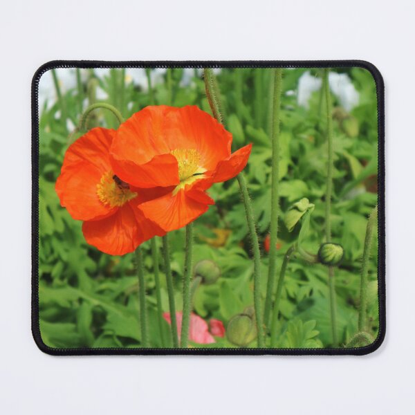 Item preview, Carnival of Flowers poppies designed and sold by Dominique Tassell.