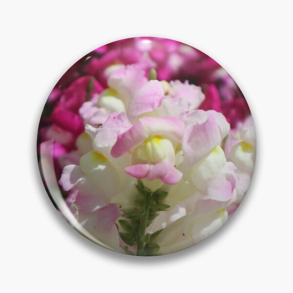 Item preview, Carnival of Flowers snapdragons designed and sold by Dominique Tassell.