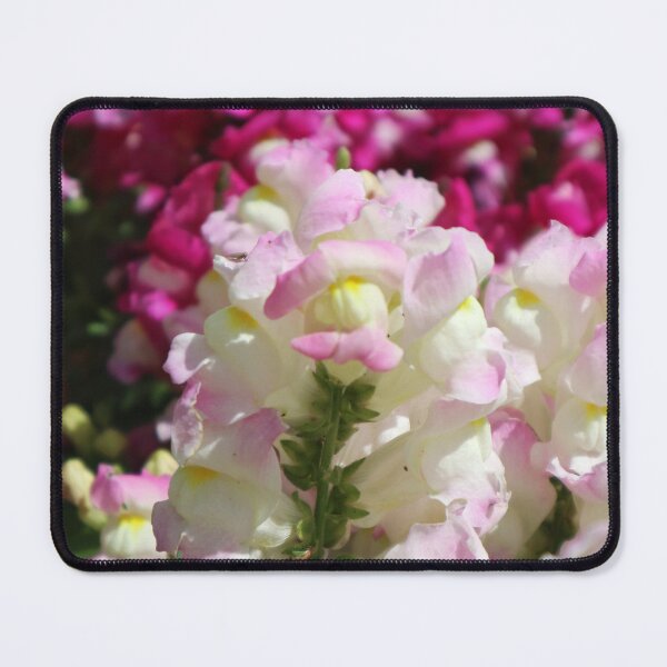 Item preview, Carnival of Flowers snapdragons designed and sold by Dominique Tassell.