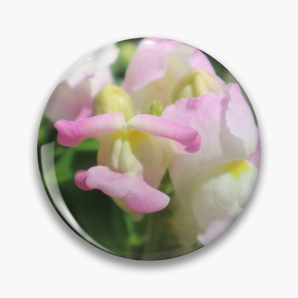 Item preview, Carnival of Flowers snapdragons designed and sold by Dominique Tassell.